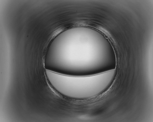 X0000087321241200704200732