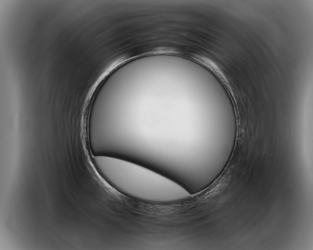 X0000087321243200704200732
