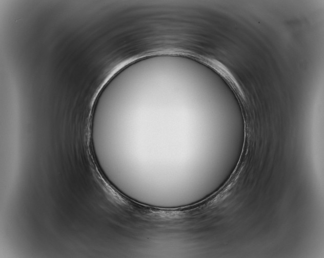 X0000087321244200704200732