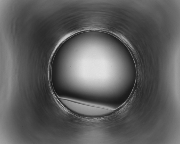 X0000087321246200704200732