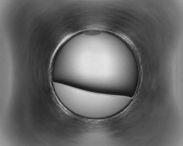 X0000087321248200704200732