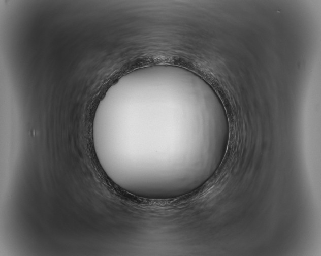 X0000087321249200704200732
