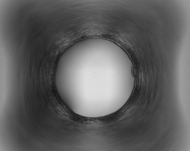 X0000087321250200704200732