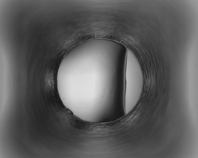 X0000087321252200704200732