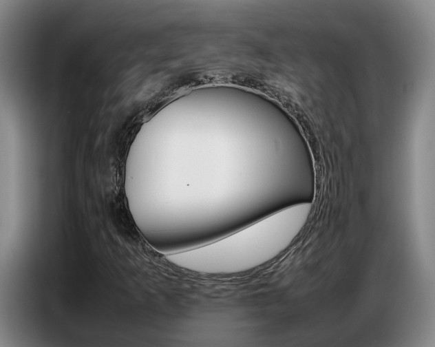 X0000087321253200704200732