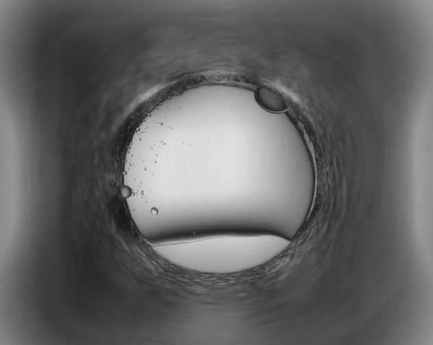 X0000087321255200704200732