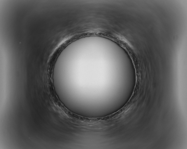 X0000087321256200704200732