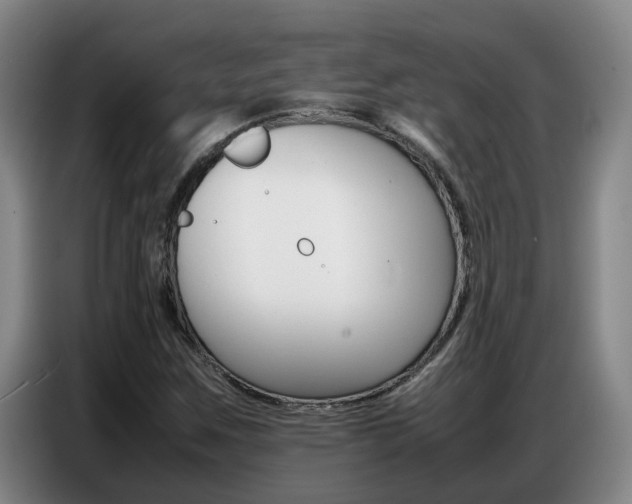 X0000087321259200704200732