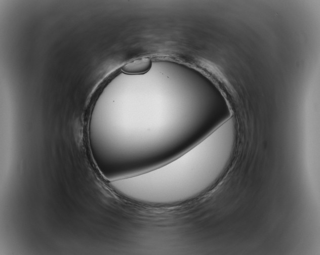 X0000087321260200704200732