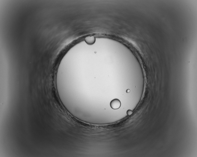 X0000087321263200704200731