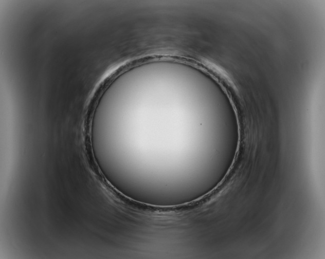 X0000087321264200704200731