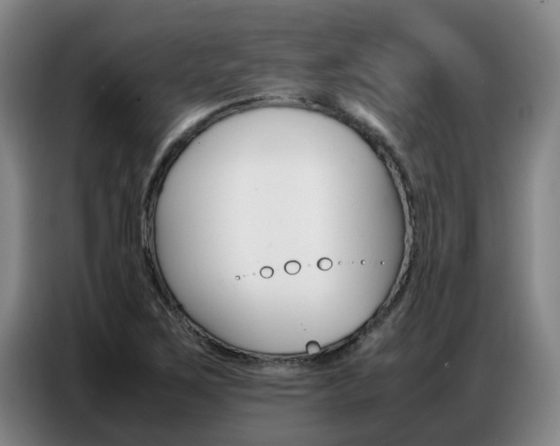X0000087321267200704200731