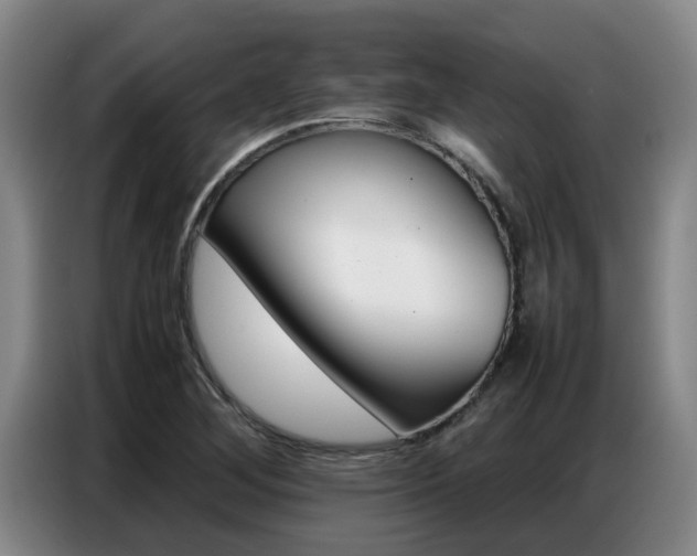 X0000087321268200704200731