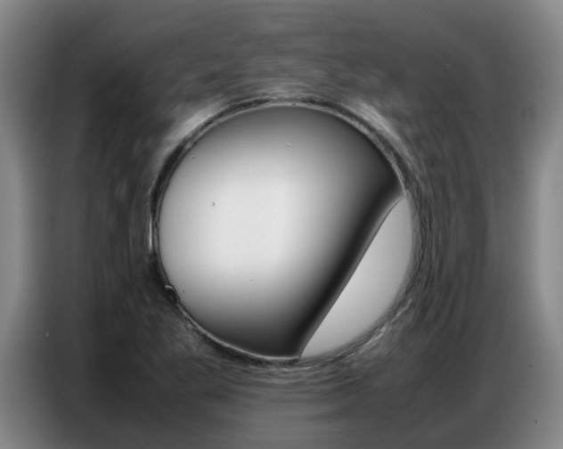 X0000087321269200704200731