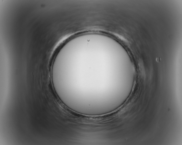 X0000087321271200704200731