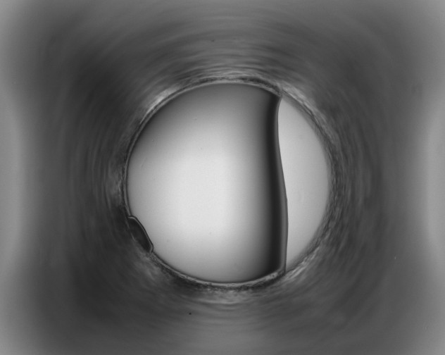 X0000087321273200704200731
