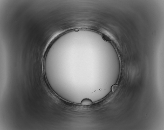 X0000087321275200704200731