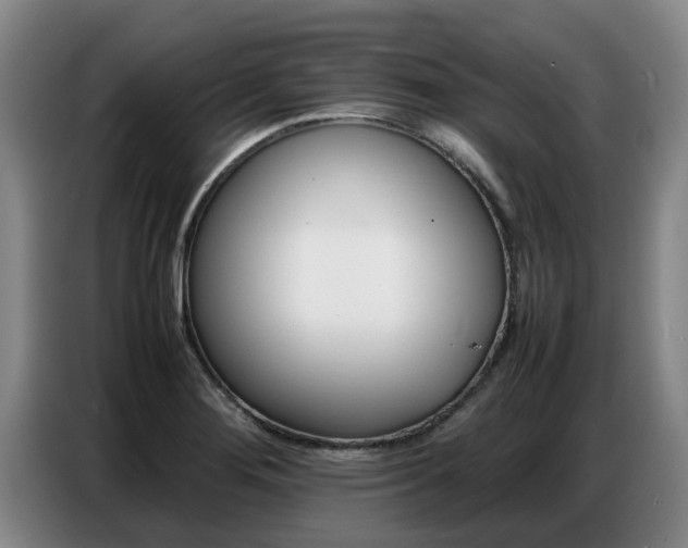 X0000087321276200704200731