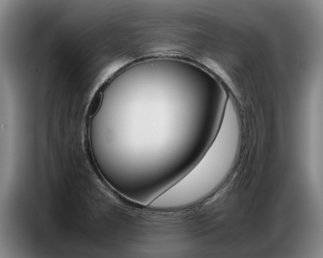 X0000087321277200704200731