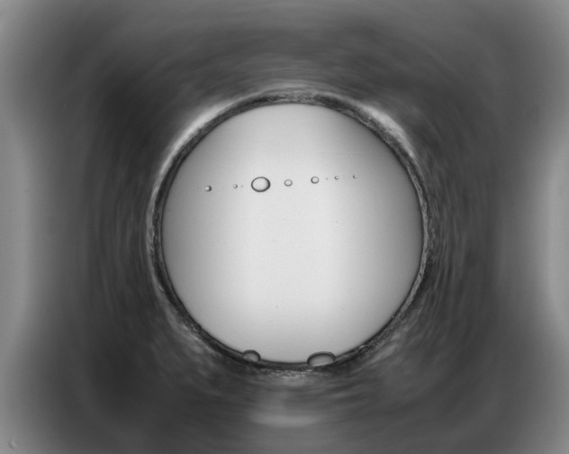 X0000087321279200704200731