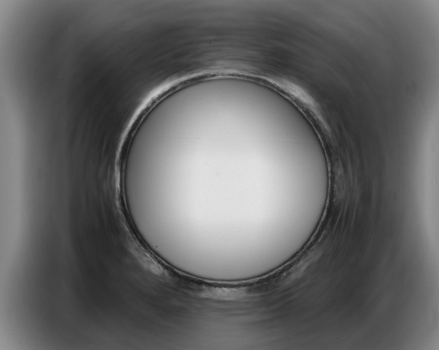 X0000087321280200704200731