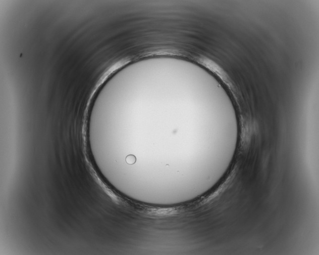 X0000087321282200704200731