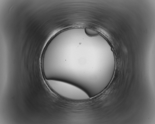 X0000087321283200704200731