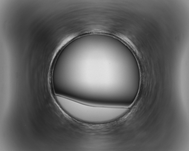 X0000087321285200704200731