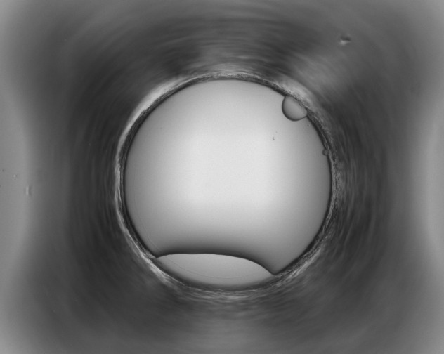 X0000087321286200704200731
