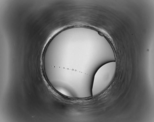 X0000087321287200704200731