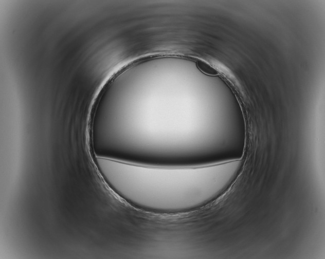 X0000087321288200704200731