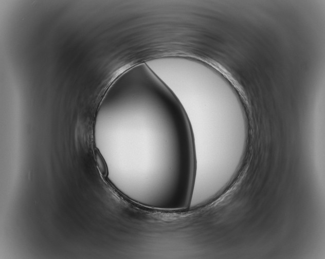 X0000087321289200704200731