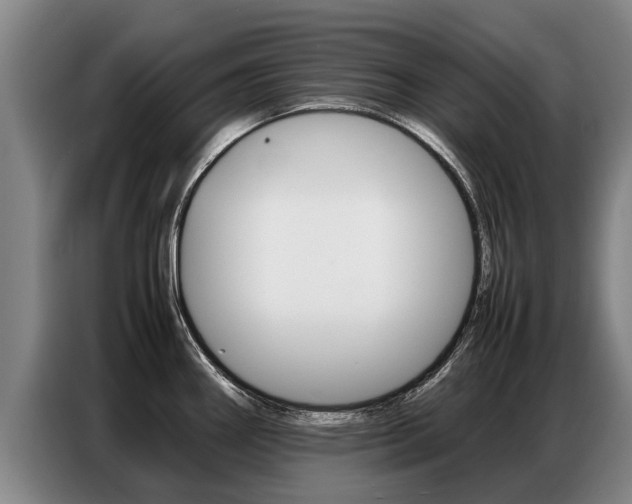 X0000087321290200704200731