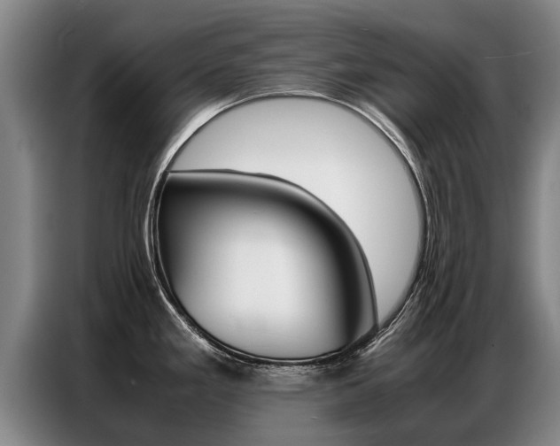 X0000087321293200704200731