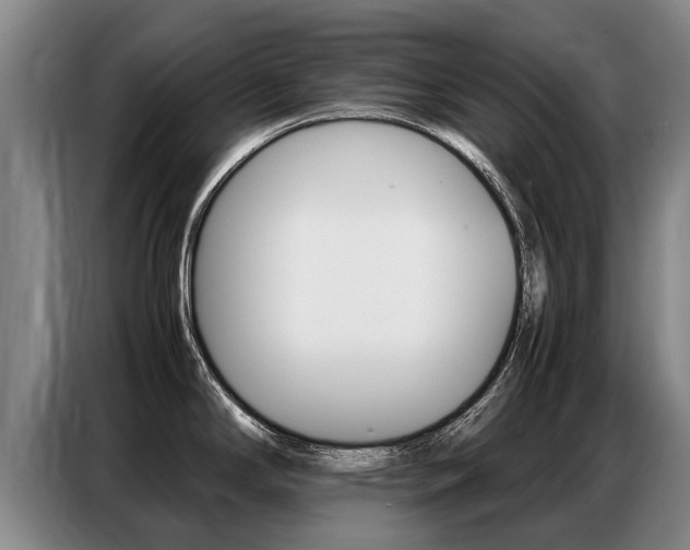 X0000087321294200704200731