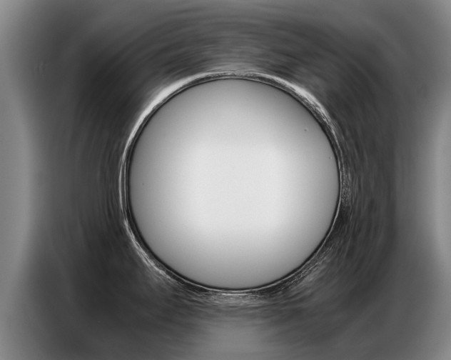 X0000087321295200704200731