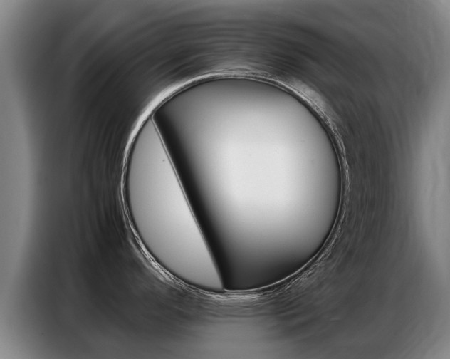 X0000087321296200704200731