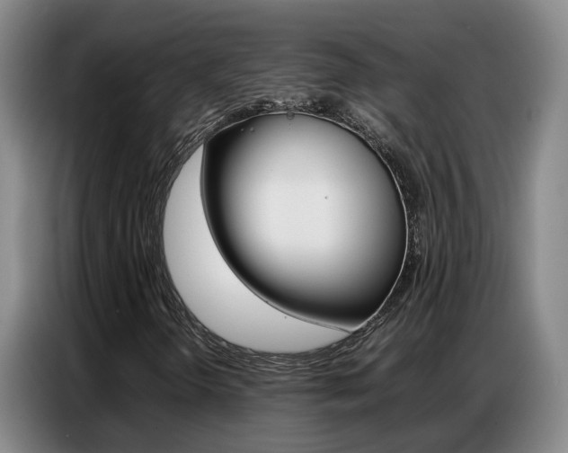 X0000087321298200704200730