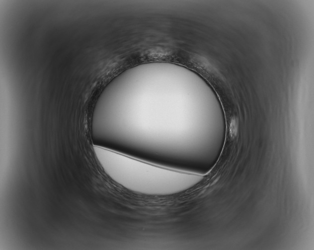 X0000087321299200704200730