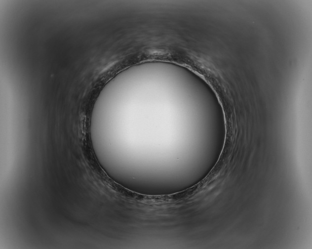 X0000087321301200704200730