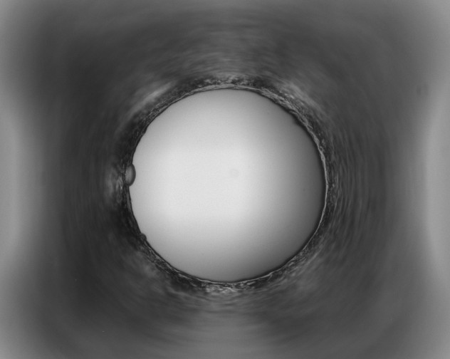 X0000087321302200704200730