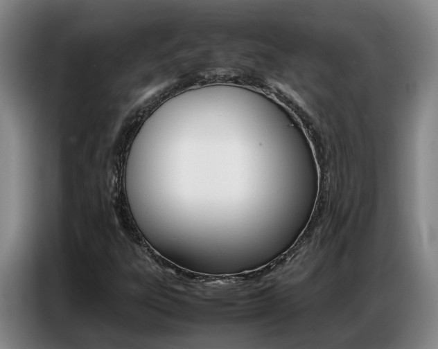 X0000087321303200704200730