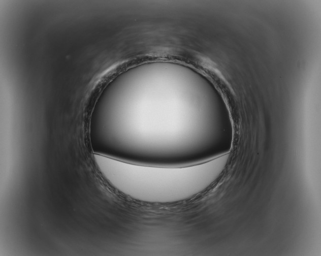 X0000087321304200704200730