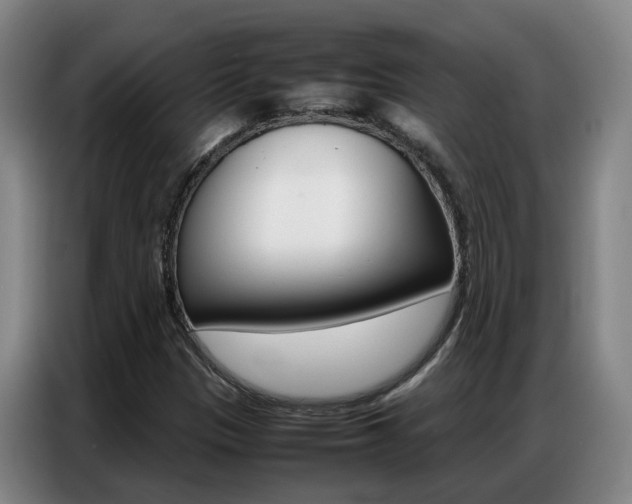 X0000087321305200704200730