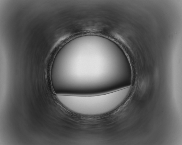 X0000087321307200704200731