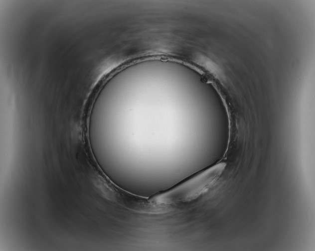 X0000087321308200704200731