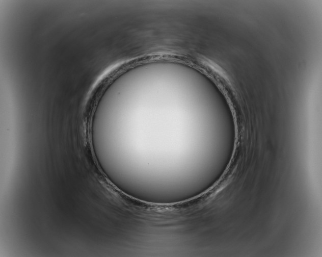 X0000087321310200704200731