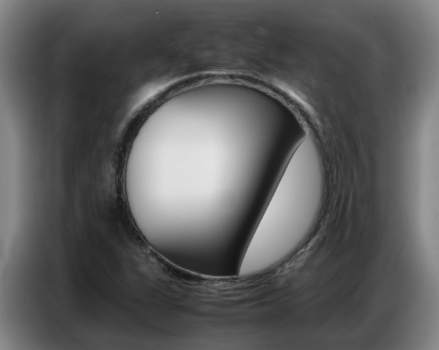 X0000087321311200704200731