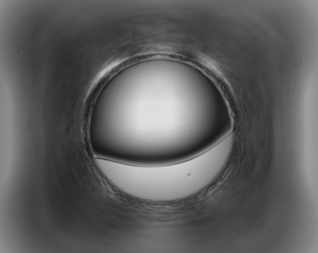 X0000087321312200704200731