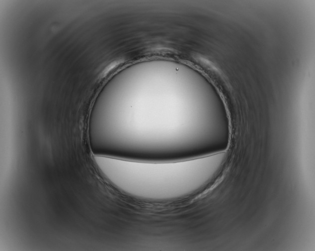X0000087321313200704200731